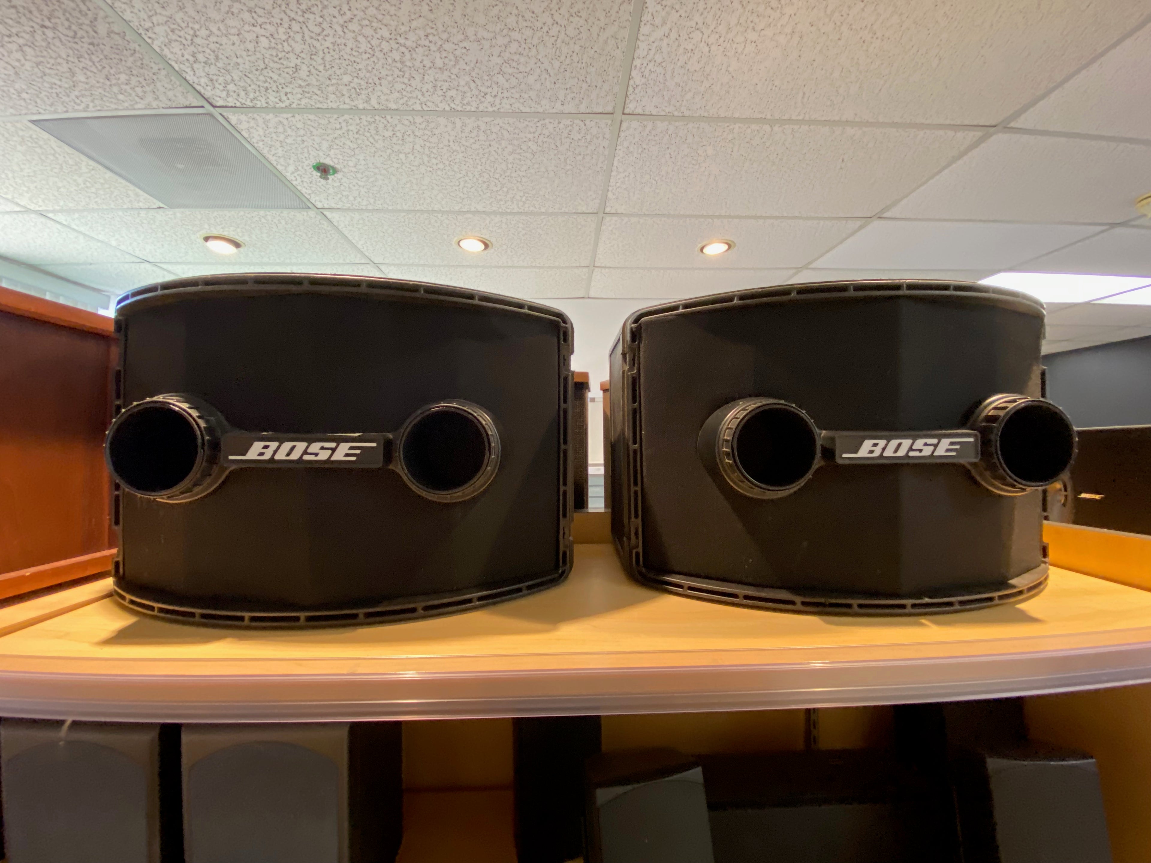 Bose 802 Professional Loudspeakers (Pair)