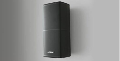 Bose Direct/Reflecting Series II speaker (single)